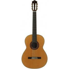 José Torres JTC-100