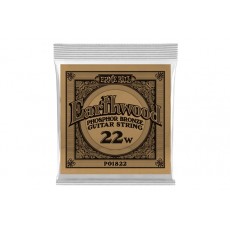 Ernie Ball 1822 corda 022 Phosphor Bronze