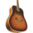 Eko ONE D VINTAGE BURST