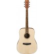 Ibanez PF10OPN