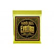 Ernie Ball 2558 set Everlast 011