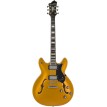 Hagstrom VIKING GOLD JUSTIN YORK