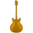 Hagstrom VIKING GOLD JUSTIN YORK