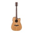 Ibanez AW65ECELG