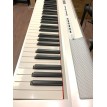 ECHORD SP-10/B DIGITAL PIANO 88 TASTI