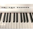 ECHORD SP-10/B DIGITAL PIANO 88 TASTI