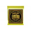 Ernie Ball 2560 set Everlast 010