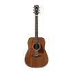 Ibanez AW54OPN