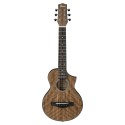 Ibanez EWP14WBOPN Acustica da viaggio