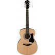 Ibanez VC50NJPNT Chitarra acustica con kit accessori