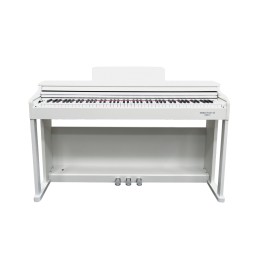 ECHORD DPX-100W DIGITAL PIANO 88 TASTI MOBILE