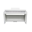 ECHORD DPX-100W DIGITAL PIANO 88 TASTI MOBILE