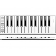 CME Xkey 25