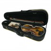 OQAN OV100 1/2 Violino