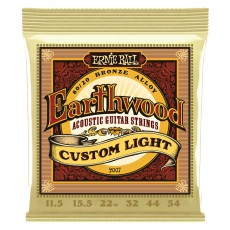 Ernie Ball 2007 - Earthwood Custom Light