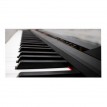 ECHORD SP-10/B DIGITAL PIANO 88 TASTI