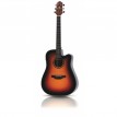 Crafter HDE-250 TS  Dreadnought