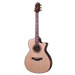 Crafter STG T-22ce Pro