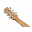 Ibanez AAM50CEOPN