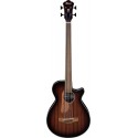 Ibanez AEGB24FEMHS Basso acustico fretless