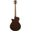 Ibanez AEGB24FEMHS Basso acustico freetless