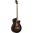 Ibanez AEGB24FEMHS Basso acustico freetless