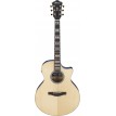 Ibanez AE390NTA