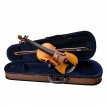 Soundsation VSPVI-12 Violino 1/2