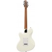 Ibanez ICHI00VWH