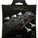 Ibanez IEBS5C