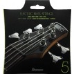 Ibanez IEBS5C