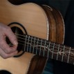 Washburn Bella Tono Suprema SC40SCE