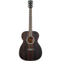 Washburn Ebony FE