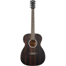 Washburn Ebony FE