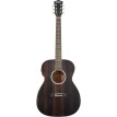 Washburn Ebony FE