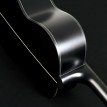 Washburn Ebony FE