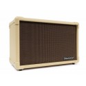 Blackstar ACOUSTIC CORE 30