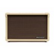 Blackstar ACOUSTIC CORE 30