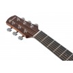 Ibanez AAM50CECRO