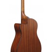 Ibanez AAM50CECRO