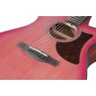 Ibanez AAM50CECRO