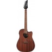 Ibanez ALT20OPN
