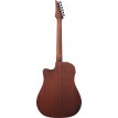 Ibanez ALT20OPN