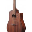 Ibanez ALT20OPN