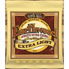 Ernie Ball 2006 - Earthwood Extra Light