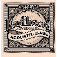 Ernie Ball 2070 - Acoustic Bass