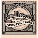 Ernie Ball 2070 - Acoustic Bass