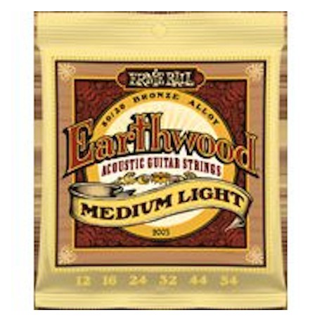 Ernie Ball 2003 - Earthwood Medium Light