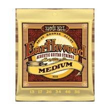 Ernie Ball 2002 - Earthwood Medium