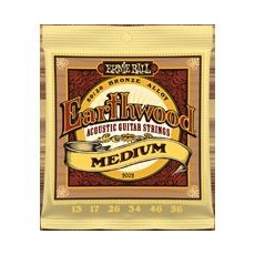 Ernie Ball 2002 - Earthwood Medium 